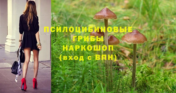 мет Аркадак