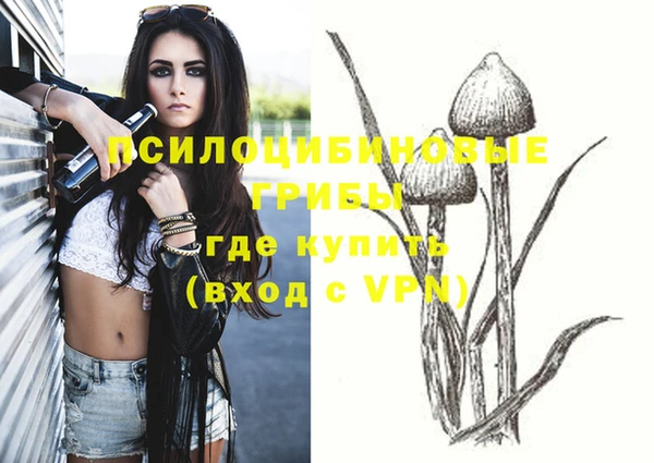PSILOCYBIN Арсеньев