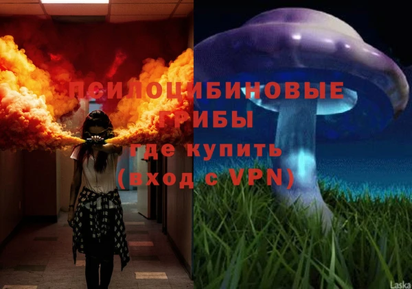 гашик Армянск