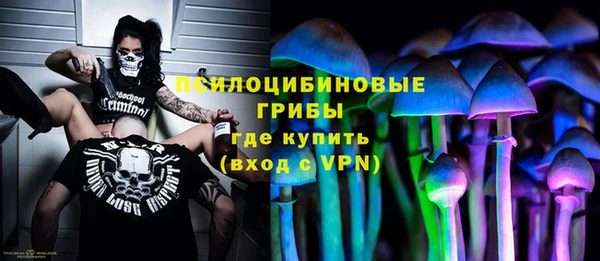 гашик Армянск