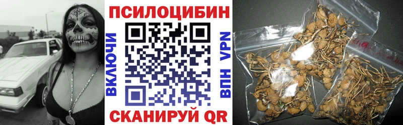 Псилоцибиновые грибы Psilocybe  как найти   Талица 